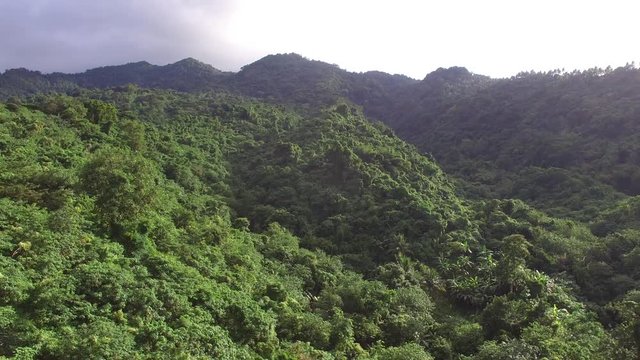 Mt. Makiling, Los Ba&ntilde;os, Laguna, Philippines - November 21, 2017: Mountain reserve government protected rain forest replete with full grown trees. Drone aerial shot