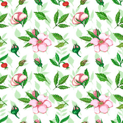 Rosehip seamless pattern. The pattern of stitches, berries and rosehip leaves. Rosehip watercolor pattern on a white background