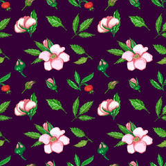 Rosehip seamless pattern.The pattern of the leaves, berries and rosehip leaves. Rosehip watercolor pattern on a purple background.
