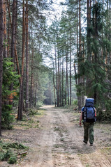 Traveler is walking on footpath through forest alone