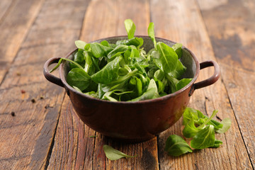 green lettuce on wood background