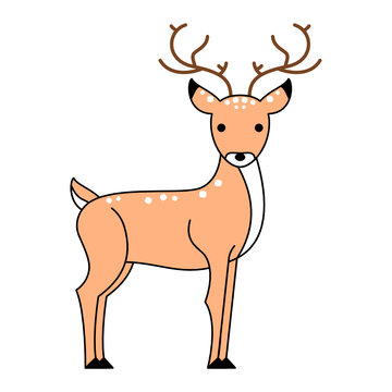 Deer Standing and looking to camera, cute symbol style, simple design. brown color.