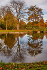 Fototapeta na wymiar Reflections in the park