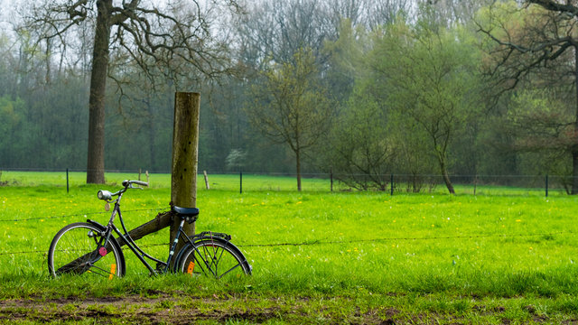 Old bike, field