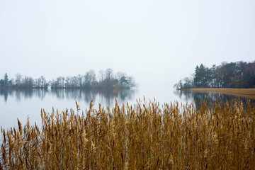 Autumn landscape a misty day at lake Mälaren, a jetty in a bay with reeds and calm sea at...