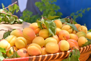 tarım