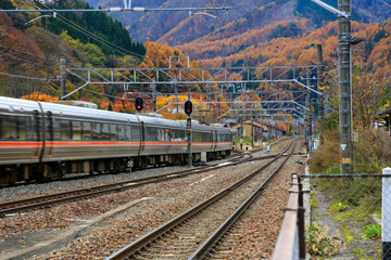 The train is moving in the Japanese province of Nagano in the season of autumn travel.