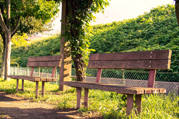 Fototapeta premium park bench