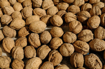 Group of nuts, nuts, vegetable oil