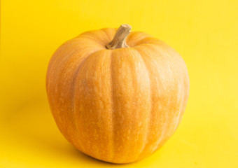 pumpkin on colorful background