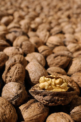 Group of nuts, nuts, vegetable oil