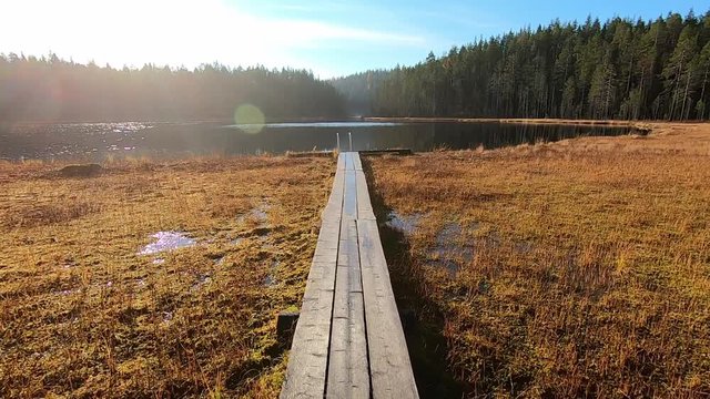 Walking on duckboards by bog lake