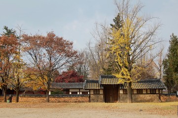 Traditional kreran buildings in the Jeonju Hanok Village covered with leaves in autumn. (wide view)