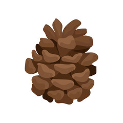 Small brown pine cone. Woody fruit of conifer tree. Element of forest plant. Flat vector for Christmas postcard