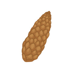 Brown fir cone. Conical fruit of conifer tree. Nature theme. Flat vector element for Christmas postcard or poster