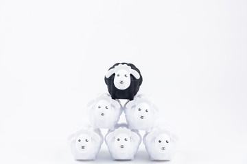 Black sheep doll and White sheep doll isolated on white background with blank for your text.