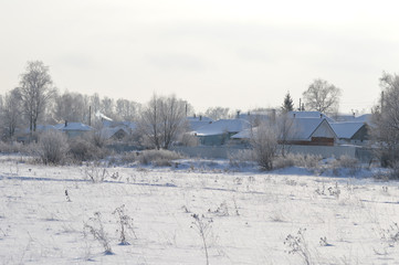 trees in the snow in the village