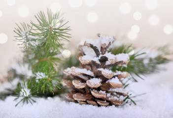 Fototapeta na wymiar pine cone and branches in the snow on blur light background 