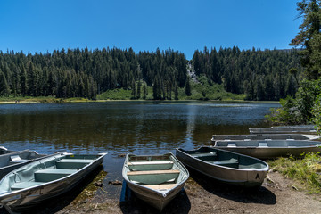 Obraz premium Fishing boats parked on a lake shore on a sunny day