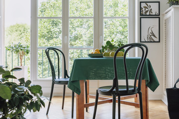 Two black chairs standing by dining table with apples, lemons, fresh plant and green tablecloth in...