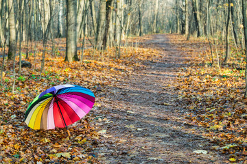 multicolored umbrella lies on the autumn foliage in the forest
