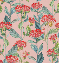 Hand-drawn watercolor illustration seamless pattern of the bouvardia flowers. Tender spring exotic flowers. Repeated background