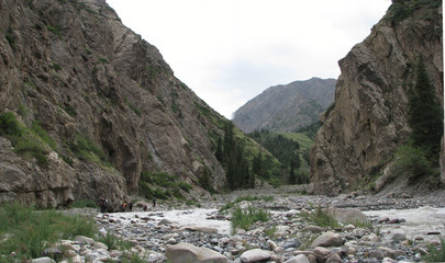 grand canyon in the mountains