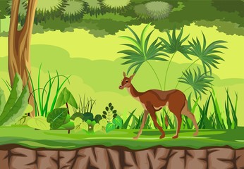 Lama south american animal in the forest, vector wildlife natural landscape. 