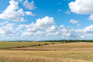 牧草地の日差し