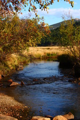 trout fishing river in the valley