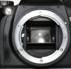camera body in selective focus with focusing screen
