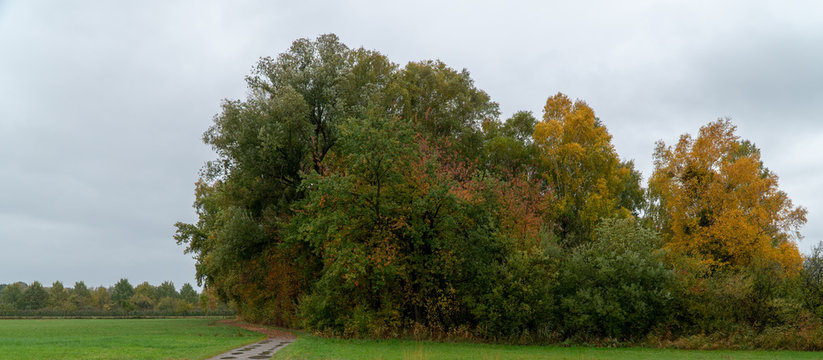 Eriskirch Bilder Durchsuchen 194 Archivfotos, und