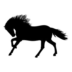 Horse black  Isolated silhouette - Vector Illustration. Beautiful Horse racing