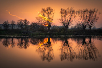 Sunset over the willows on the Habdzin lake near Konstancin-Jeziorna, Masovia, Poland