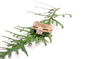 Wedding Ring, Christmas Surprise