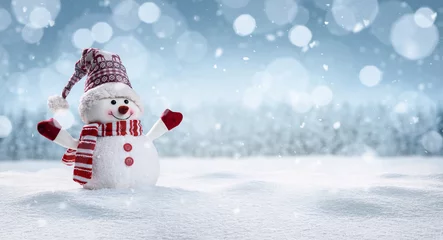 Foto op Plexiglas Panoramisch zicht van gelukkige sneeuwpop in de winter secenery met kopieerruimte © rangizzz