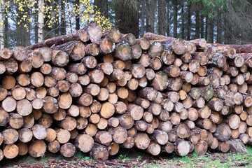 Chopped wood logs for sale use in fire place at home stored on forest woods green biomass energy uk