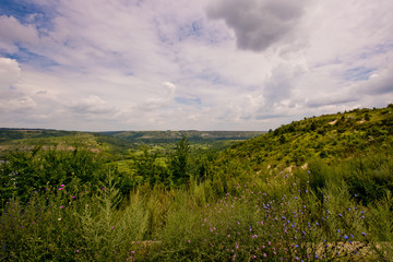 Summer landscape of nature.