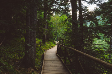 Fototapeta premium National Park of Sant Maurici