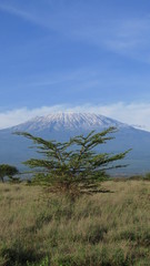 Kilimandscharo in Landschaft, Kenia
