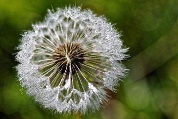 Fototapeta premium Waiting to Launch