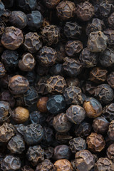 Tellicherry black pepper, peppercorns, high magnification macro.
