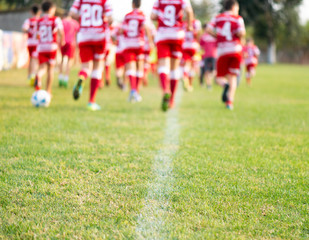 Obraz na płótnie Canvas Young soccer players running