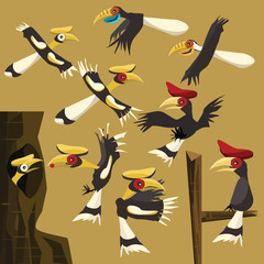 hornbills set vector illustration  © jamorno