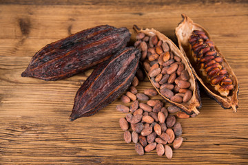 Chocolate sweet, cocoa and food dessert background