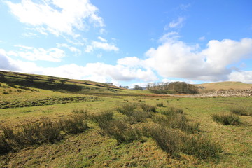 Fototapeta premium Yorkshire moors, UK