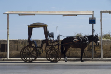 OLYMPUS DIGITAL CAMERA © Ziemowit