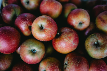 apples
