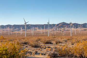 An abundance of wind turbines near Mojave in California