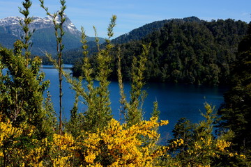 Fototapeta na wymiar Lago Espejo, Bariloche, Patagonia Argentina